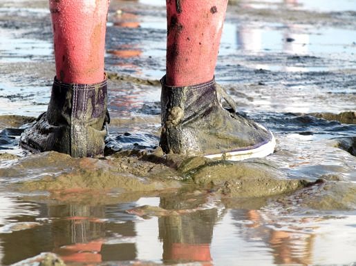 Wadlopen Natuurschool Lauwersoog