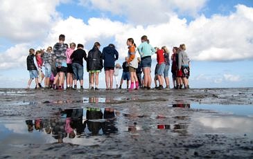 Kinderen op het wad met de Natuurschool