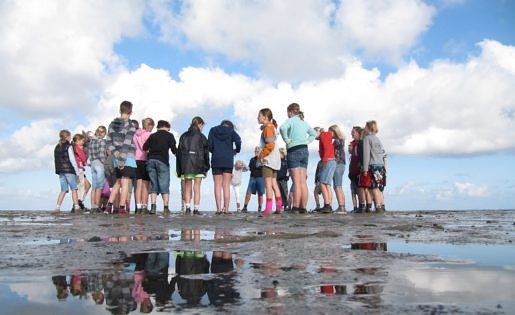 Kinderen op het wad met de Natuurschool