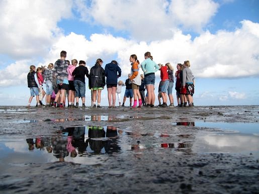 Kinderen op het wad met de Natuurschool