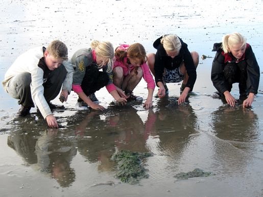 Kinderen zoeken op het wad