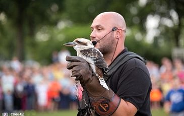 Roofvogelshow
