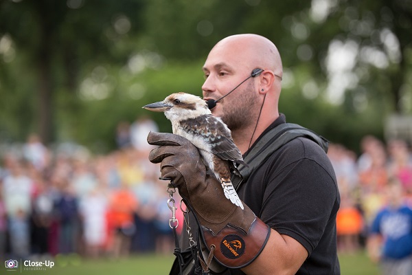 Roofvogelshow