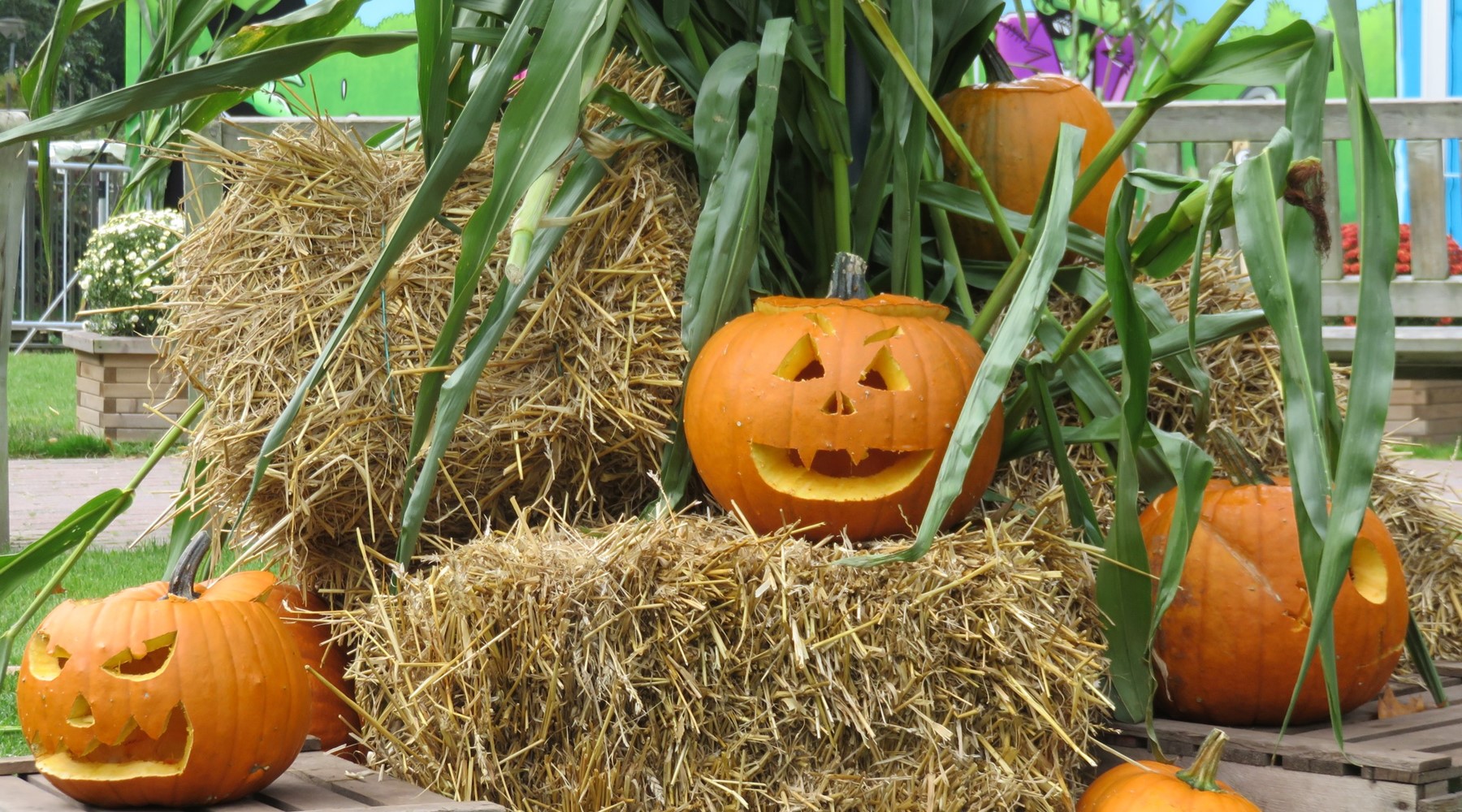 Halloween drouwenerzand attractiepark gezellige entourage