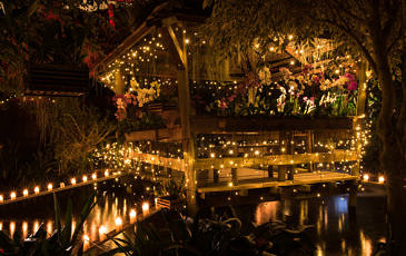 Orchideehoeve lr