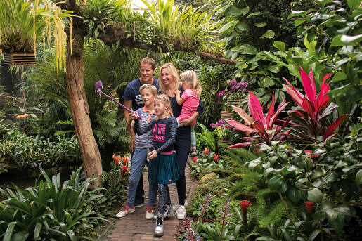 De orchideeën hoeve (8)