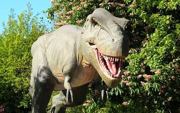 Dinoland tyrannosaurus rex