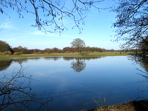 Foto's pieterpad (13)