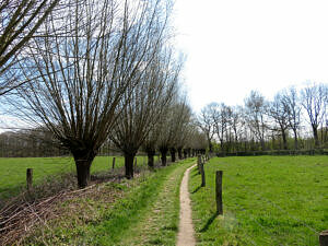 Foto's pieterpad (14)