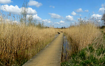 Foto's pieterpad (15)