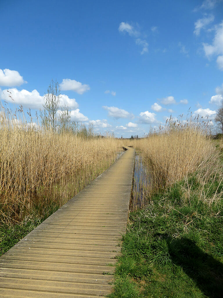 Foto's pieterpad (15)