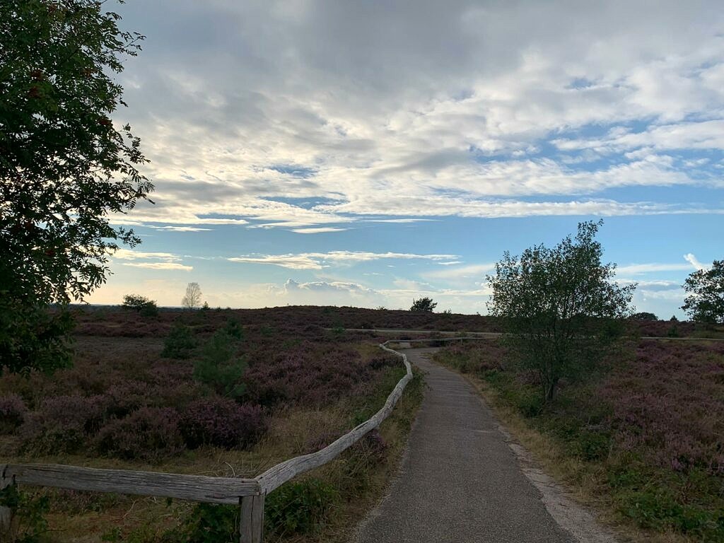 Foto's pieterpad (16)