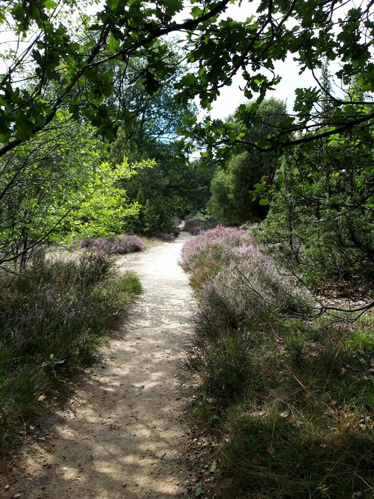 Foto's pieterpad (17)