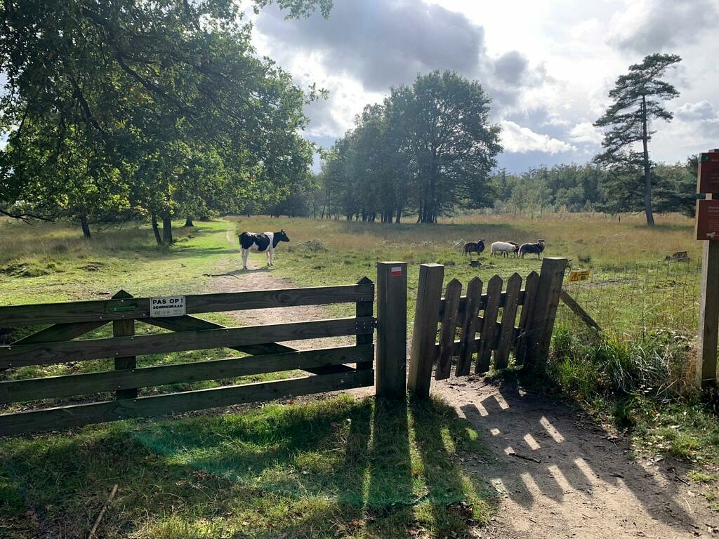 Foto's pieterpad (18)