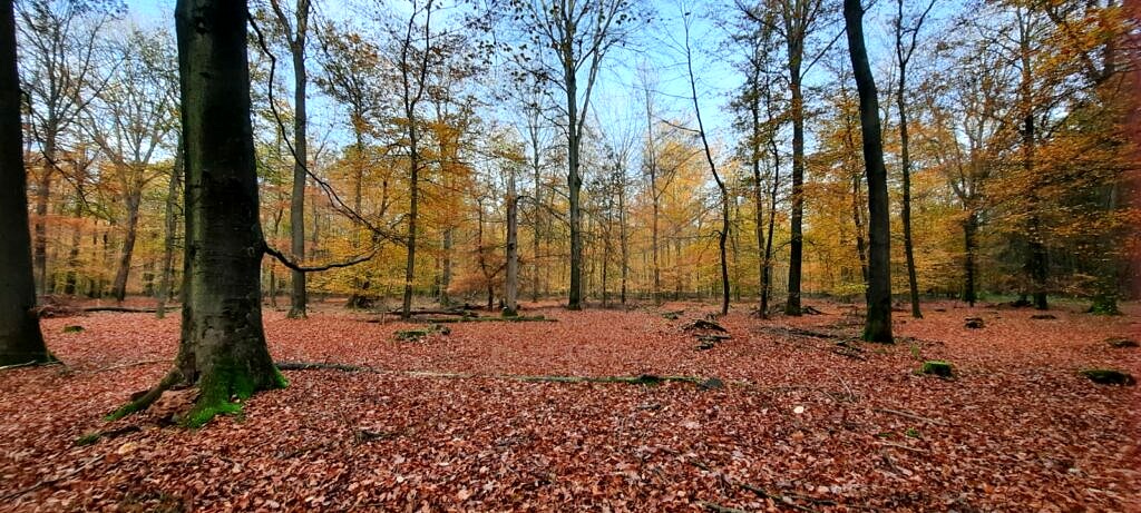 Foto's pieterpad (19)