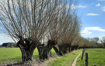 Foto's pieterpad (4)