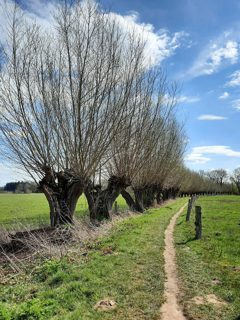 Foto's pieterpad (4)