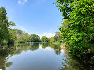 Foto's pieterpad (8)