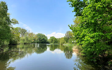 Foto's pieterpad (8)