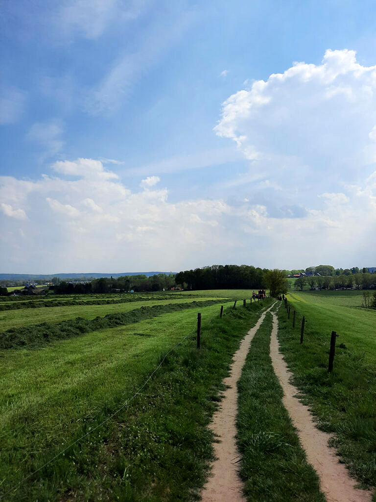 Foto's pieterpad (9)