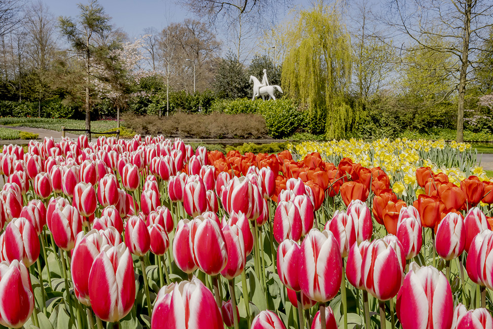 Photocredit: keukenhof / laurens lindhout