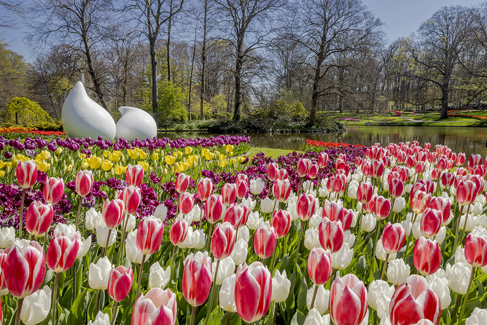 Photocredit: keukenhof / laurens lindhout