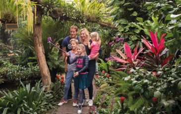 De orchideeen hoeve 8